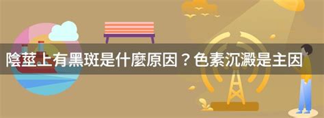 龜頭 黑點|陰莖上有黑斑是何原因？要緊嗎？